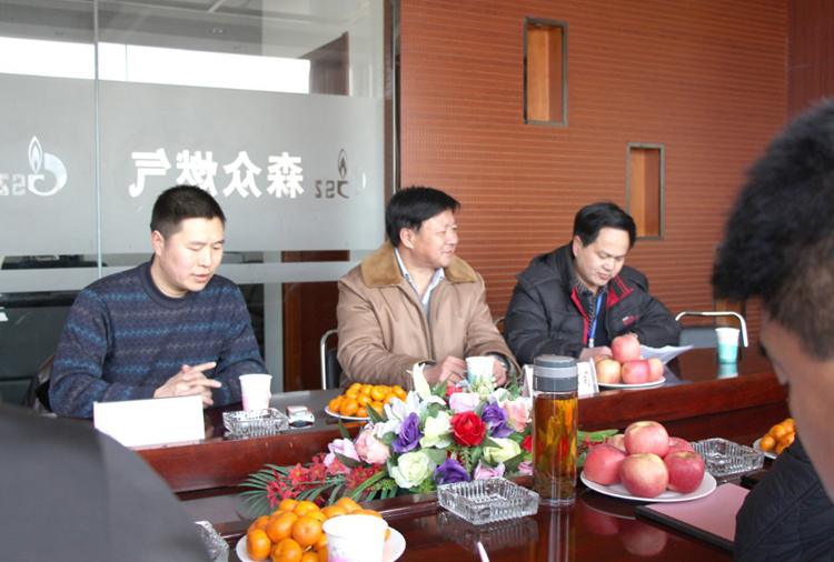 林口县政府与3377体育-3377(中国)一站式服务官方网站燃气项目洽谈.png